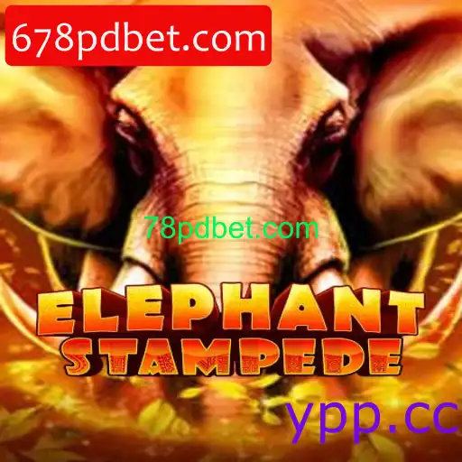 ElephantStampede
